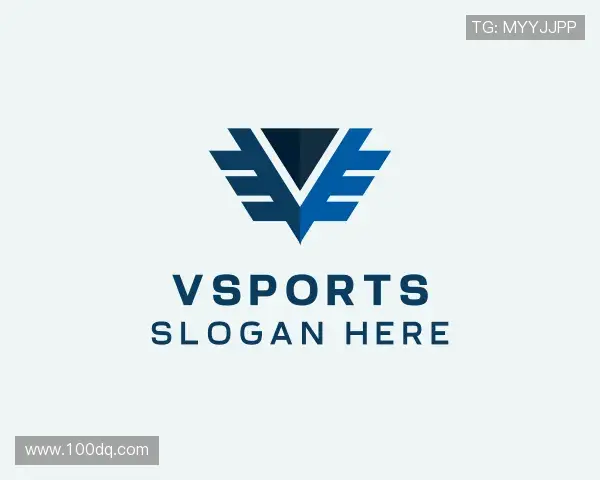 介绍vsports